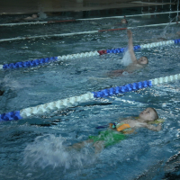 893616754p1100129