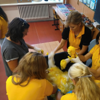 908256848img20160922142331