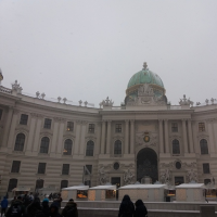91161484hofburg