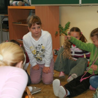 926559993img4720