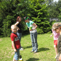 93046764420080530170018