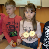 94392474snv19121-web