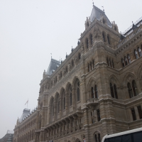 958367361rathaus