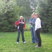 96153066120090604130850