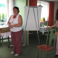 96230317320080607085219