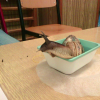967959752photo0074
