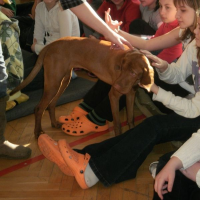 9974513p2270031