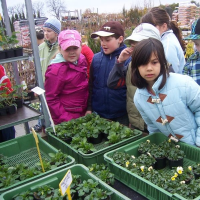 998887547zelenina-295