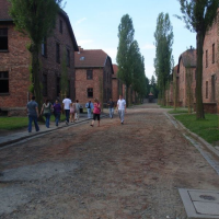 105573654p6060616