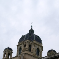 127797711p1233837