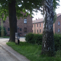 151335450p6060611
