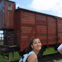 175537337p6060642