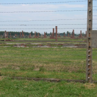 213447996p6060638