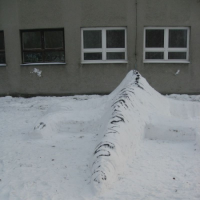 605236967img6636