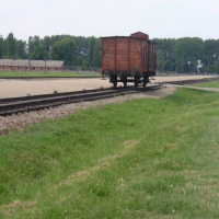62879533p6060640