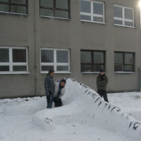 775394101img6638