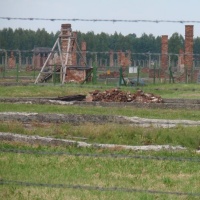 806232364p6060639